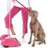 Picture of ROGZ Fancy Dress Lead Pink Love Large 1.4m x 1