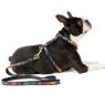 Picture of ROGZ Fancy Dress Lead Multi Bone Large 1.4m x 1