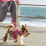 Picture of ROGZ Classic Lead Pink Small 1.8m x 1