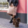 Picture of ROGZ URBAN Classic Dog Lead Gold Rush Small 1.8m