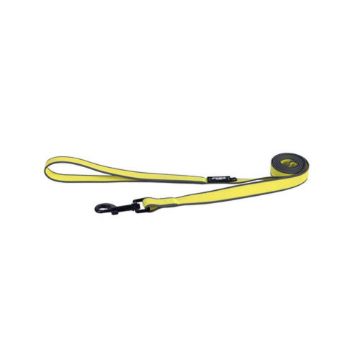 Picture of ROGZ Amphibian Classic Lead Dayglo Large