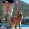 Picture of ROGZ Multi Lead Pink Large 1.8m x 1