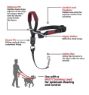Picture of Halti Optifit Headcollar Black Medium x 1