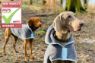 Picture of Henry Wag Drying Coat XS 35cm Grey x 1
