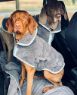 Picture of Henry Wag Drying Coat XXL 80cm Grey x 1
