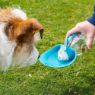 Picture of Henry Wag Water Bottle with Leaf Bowl Blue x 1