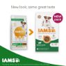 Picture of Iams Dog Small/Medium Lamb 12kg
