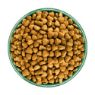 Picture of JWB Adult Dog Fish & Rice 2kg