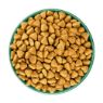 Picture of JWB Adult Dog Grain Free Fish & Veg 1.5kg