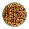 Picture of JWB Adult Dog Superfoods Turkey, Kale & Quinoa 1.5kg