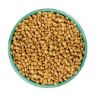 Picture of JWB Cat Grain Free Turkey 4kg x 1