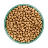 Picture of JWB Puppy / Junior Grain Free Turkey & Veg 1.5kg