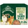 Picture of JWB Senior Cat Pouch Grain Free Salmon Jelly 85g x 12