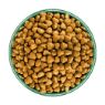 Picture of JWB Senior Dog Turkey & Rice 15kg