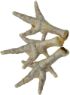 Picture of K9 Chew Co. Chicken Feet Puffed 1kg