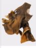 Picture of K9 Chew Co. Camel Skins 1kg