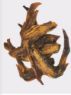 Picture of K9 Chew Co. Duck Wings 1kg
