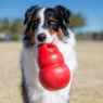 Picture of KONG Bounzer Red Large 8" x 1