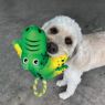 Picture of KONG Cozie Tuggz Alligator Medium/Large x 1