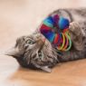 Picture of KONG Cat Toy Active Scrunchie x 1