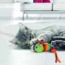 Picture of KONG Cat Toy Bat-a-Bout Clackz Caterpillar x 1