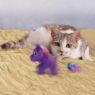 Picture of KONG Cat Toy Buzzy Enchanted Unicorn x 1