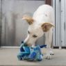 Picture of KONG Dragon Knots Medium/Large x 1