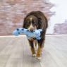Picture of KONG Dyno Roar Blue Medium/Large x 1