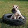 Picture of KONG Extreme Tyre Medium/Large x 1