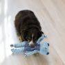 Picture of KONG Floppy Knots Hippo Jumbo XL x 1