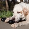 Picture of KONG Extreme Goodie Bone XL (Black) x 1