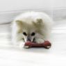 Picture of KONG Goodie Bone XL (Red) x 1