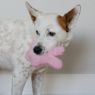 Picture of KONG Kiddos Snuzzles Bunny Small x 1