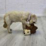 Picture of KONG Layerz Forage Hedgehog Medium x 1