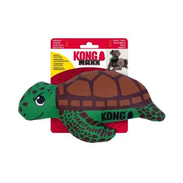 Picture of KONG Maxx Turtle Medium x 1