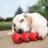 Picture of KONG Red Goodie Ribbon Large x 1