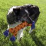 Picture of KONG Rope Rally Bone Medium x 1