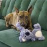 Picture of KONG Scrumplez Koala Medium x 1