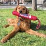 Picture of KONG Signature Stick Medium with Rope 48cm x 1