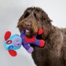 Picture of KONG Switcheroos Large x 1