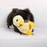 Picture of KONG Toughz Duck Medium x 1