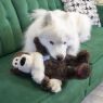 Picture of KONG Wild Knots Bears - Jumbo XL x 1