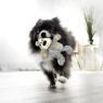 Picture of KONG Wild Knot Bears X-Small x 1