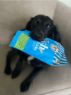 Picture of Laughing Dog Fish & Tricks Dog Treats (Fishy Treats) 125g x 5