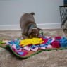 Picture of Orva Square Snuffle Mat x 1