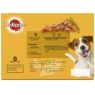 Picture of Pedigree Pouch Adult Mixed Selection in Gravy 100g 12-pack x 4