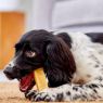Picture of Yakers Dog Chew ORIGINAL XL x 10