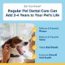 Picture of ProDen Plaque-Off Powder 60g x 1