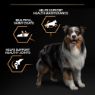 Picture of Pro Plan Adult Dog Medium Chicken 14kg