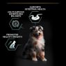 Picture of Pro Plan Puppy Medium Sensitive Digestion 3kg